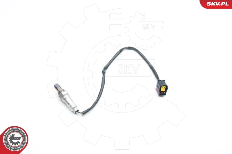 Oxygen Sensor